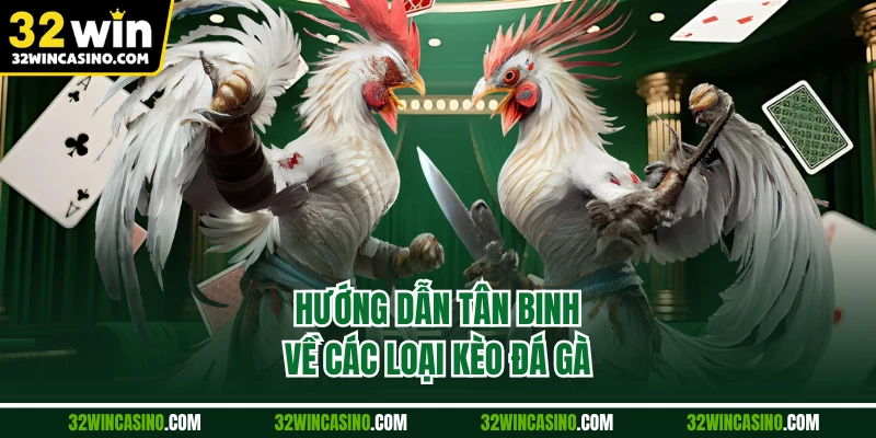 Hướng dẫn tân binh về các loại kèo đá gà